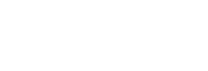 Vault Group White Logo